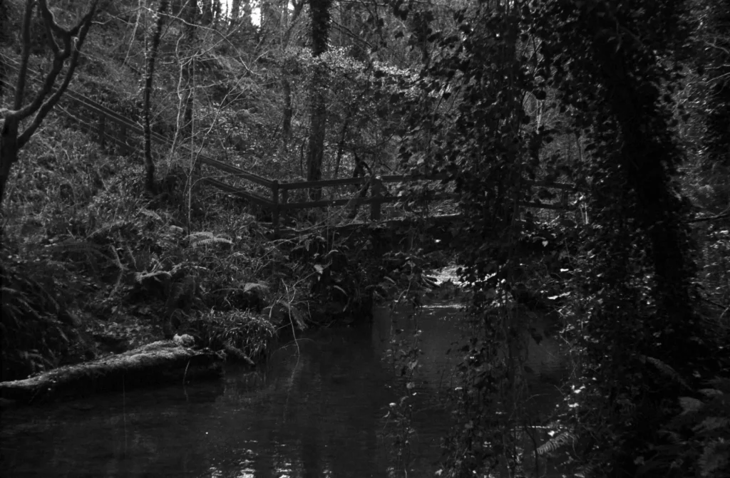 A small wooden brdige over a river