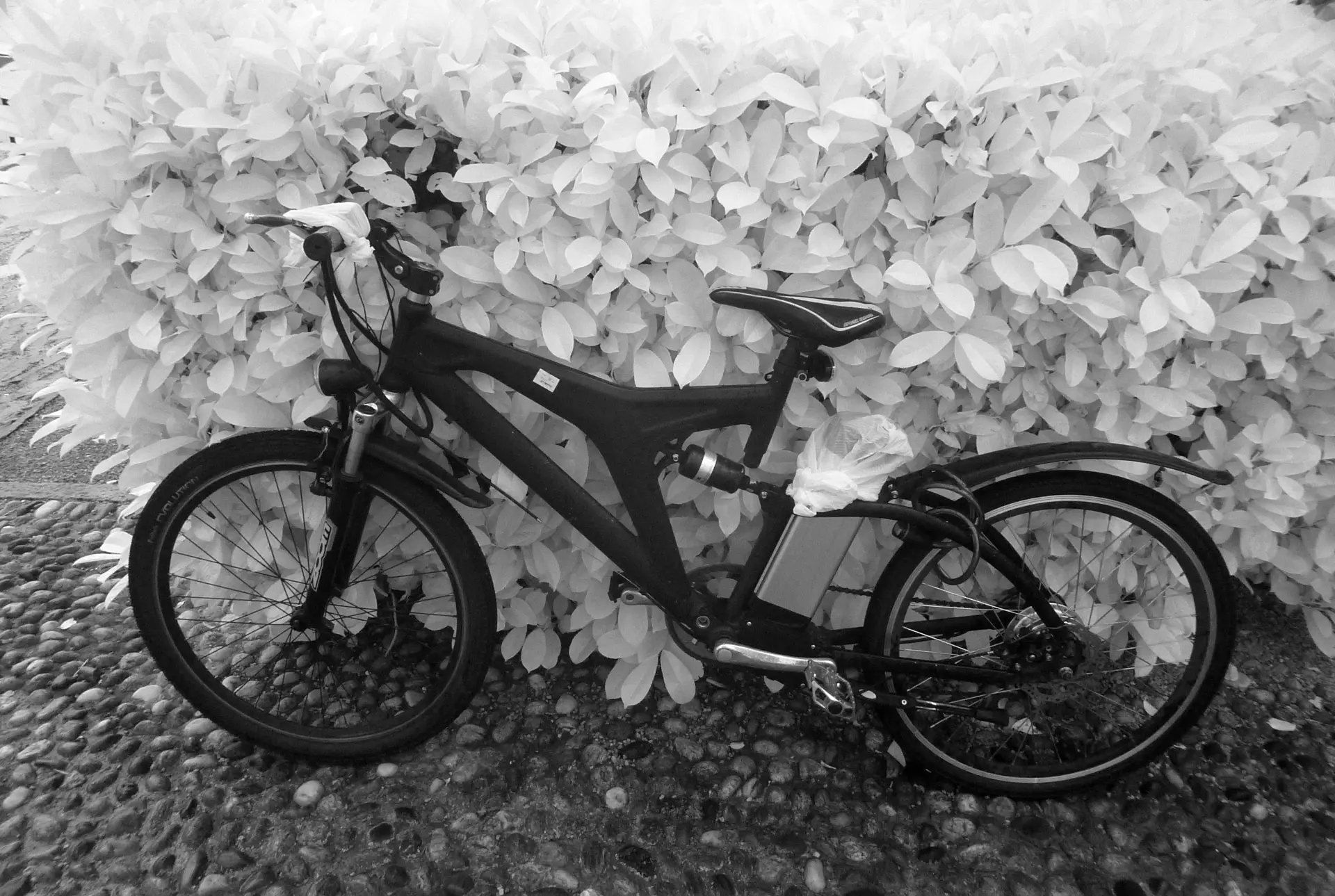 IR backlit bike