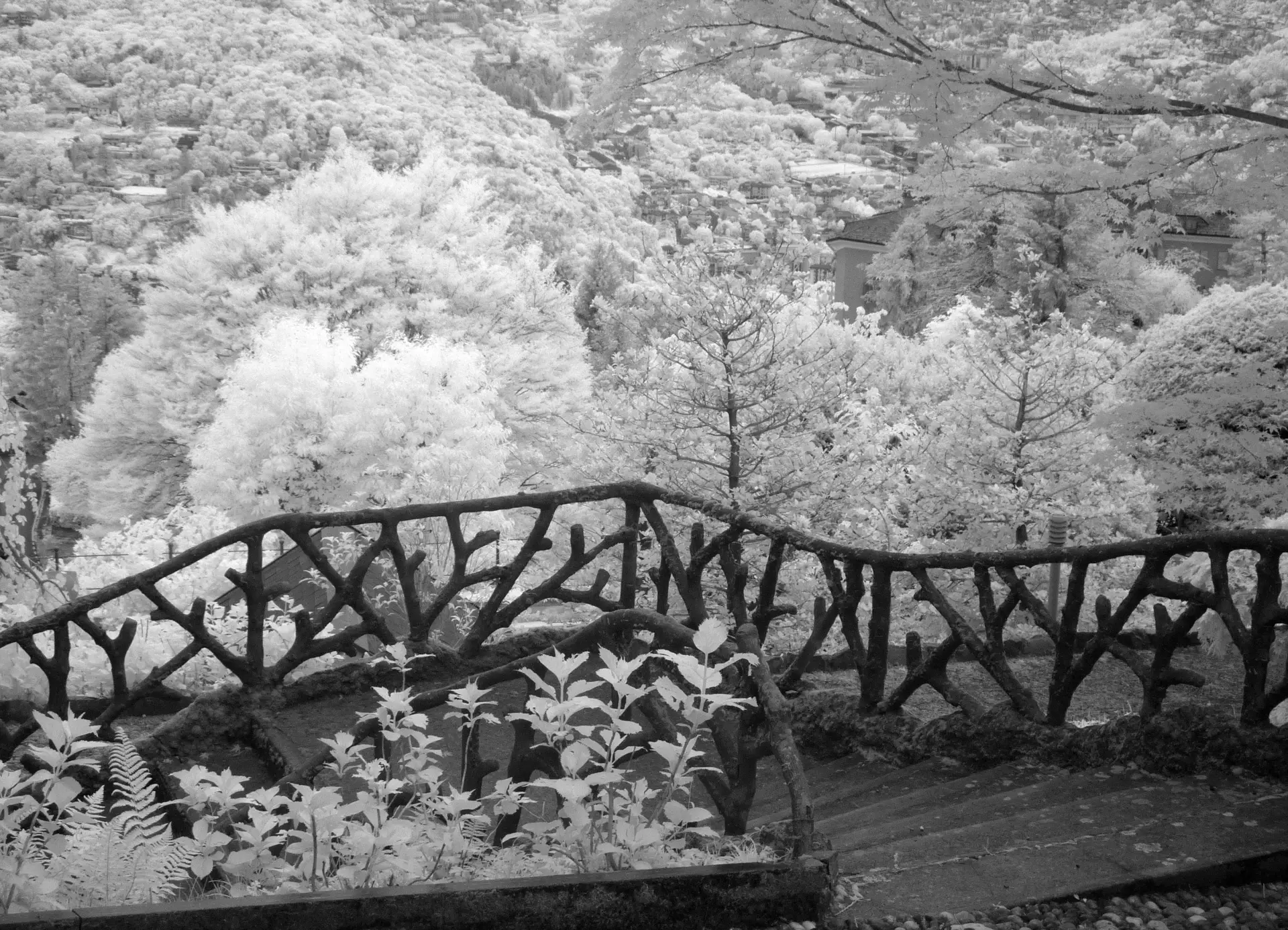 IR backlit "faux bois" fence