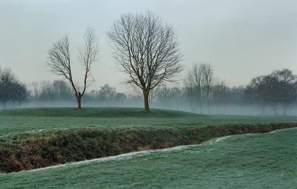A ditch with two trees in the mist as background