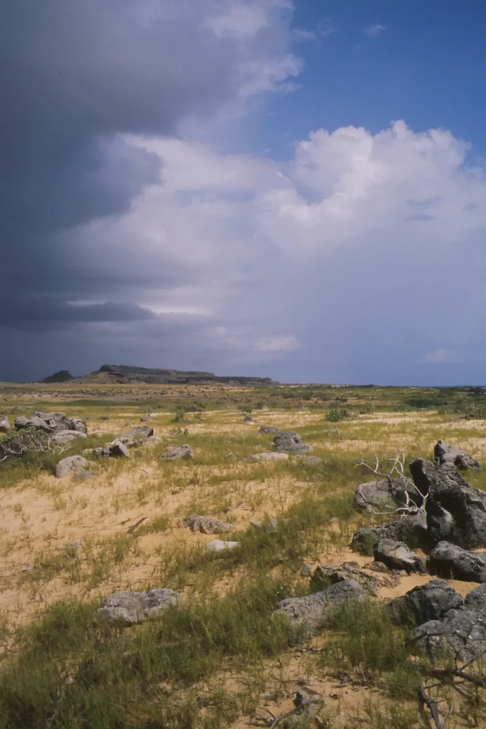 Photo taken with Leica M2 on Ektachrome 100 in Bonaire Washington Slagbaai National Park