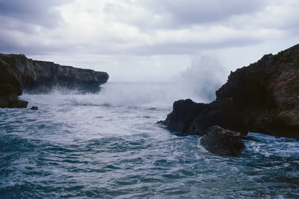 Photo taken with Leica M2 on Ektachrome 100 in Bonaire Washington Slagbaai National Park