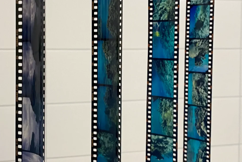 Developed Ektachrome 100 film