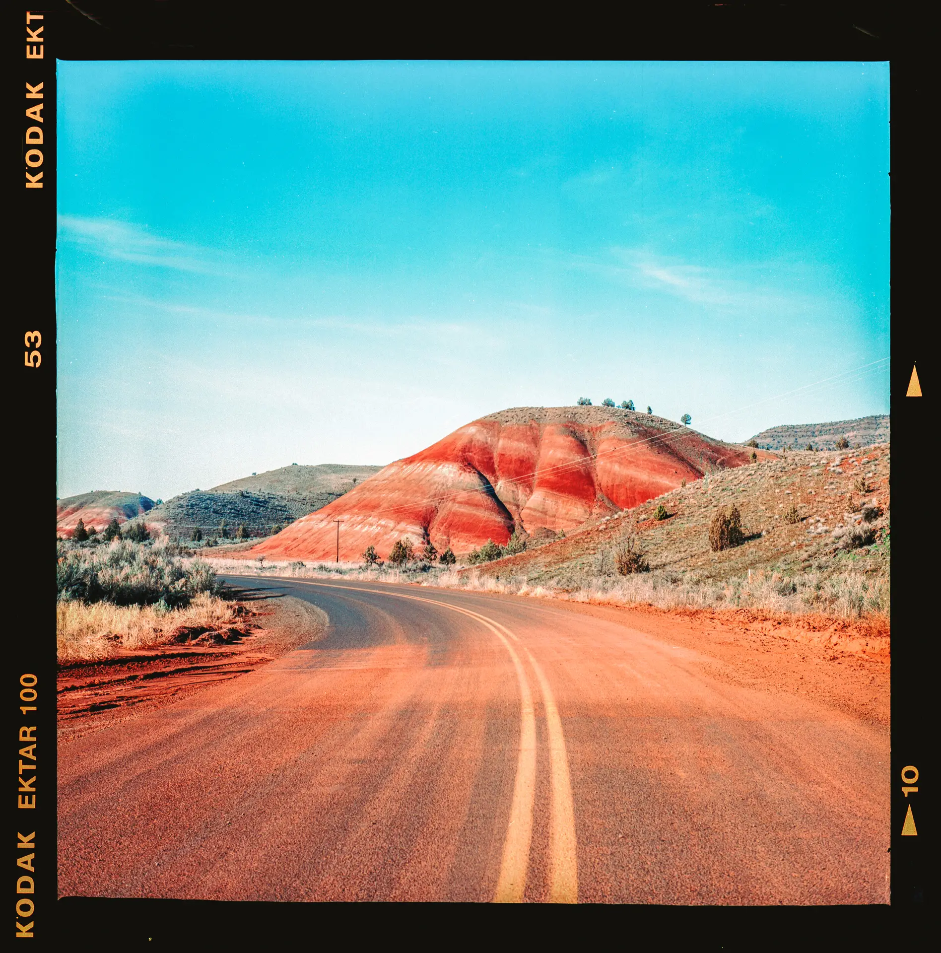 Ektar's magic reds on full display | Ektar 100