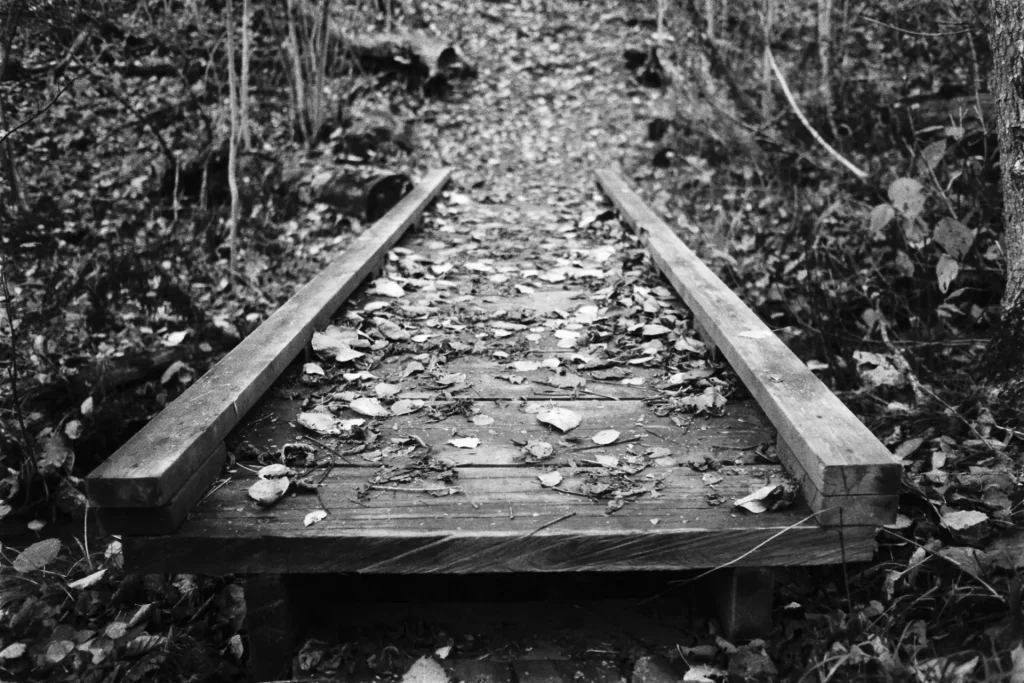 wooden bridge ultrafine 400 Nikon FE Daniel Sigg Photography