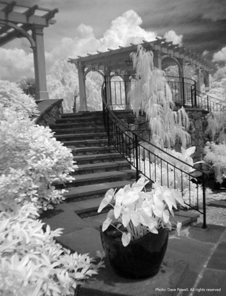 PDC-700 IR photo of Tower Hill Botanic Garden staircase