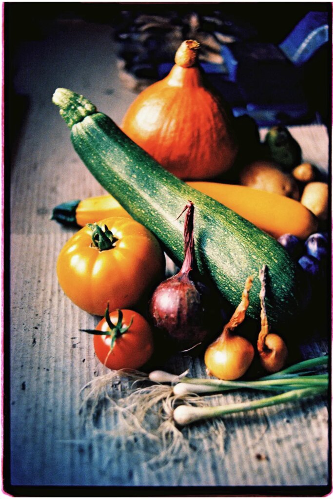 An arrangement of different types of vegetables, shot on Fujichrome 64T II slide film.