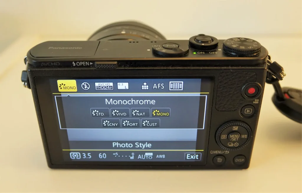 Panasonic GM1 rear screen 