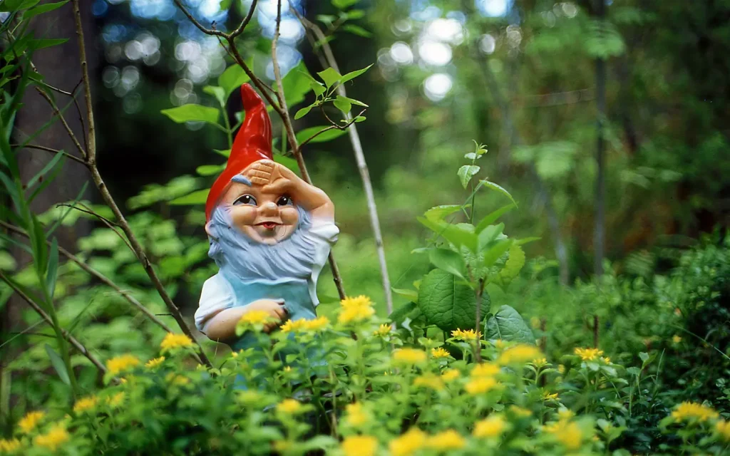 Image of a garden gnome in the woods.