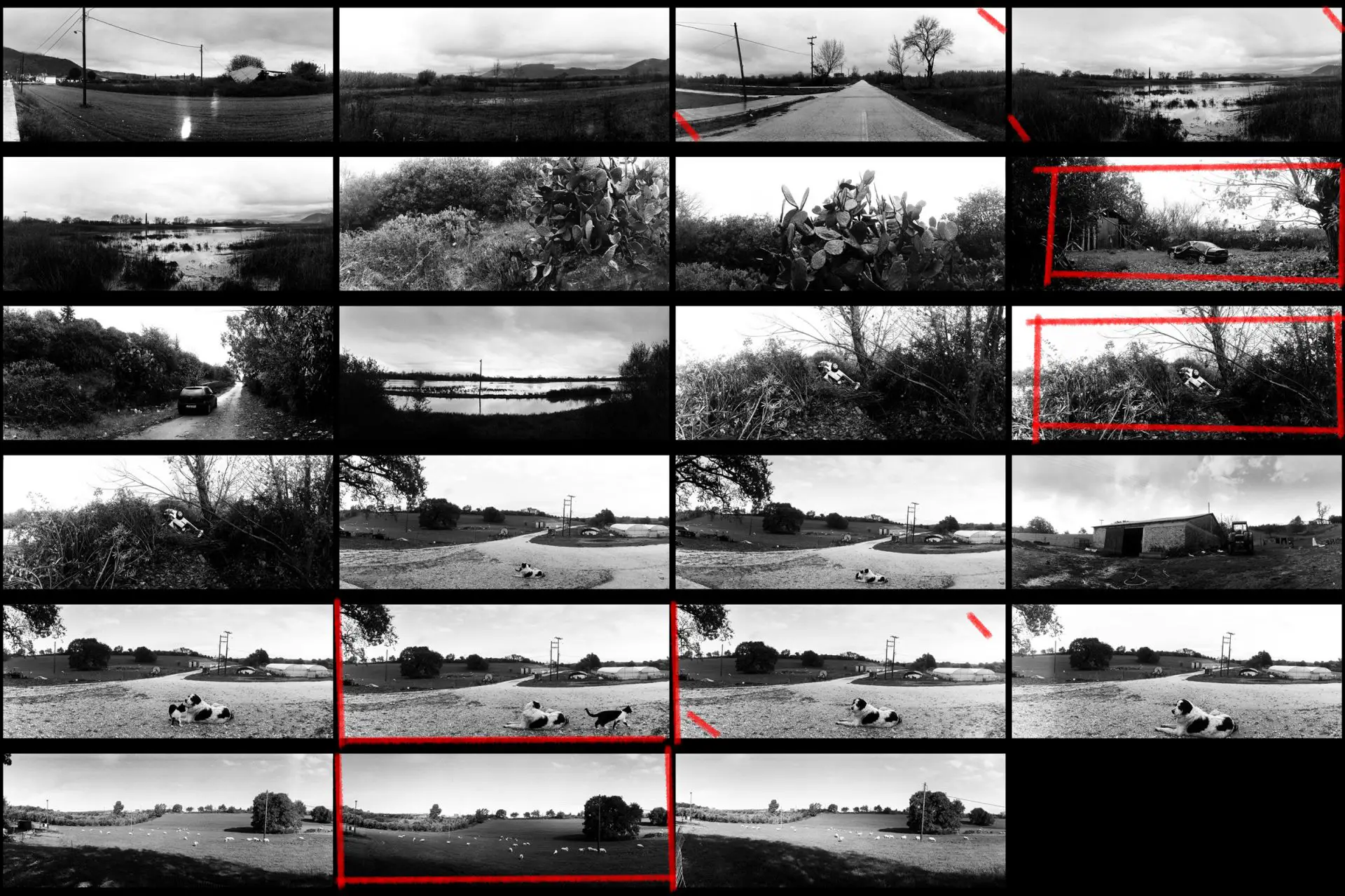 Ilford Pan 400 contact sheet, shot with Horizon 202 panoramic camera.