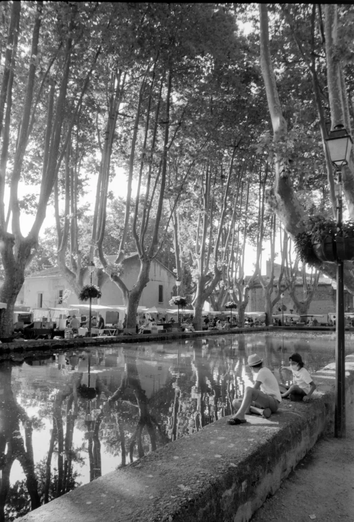 French village pond surrounded by plane trees