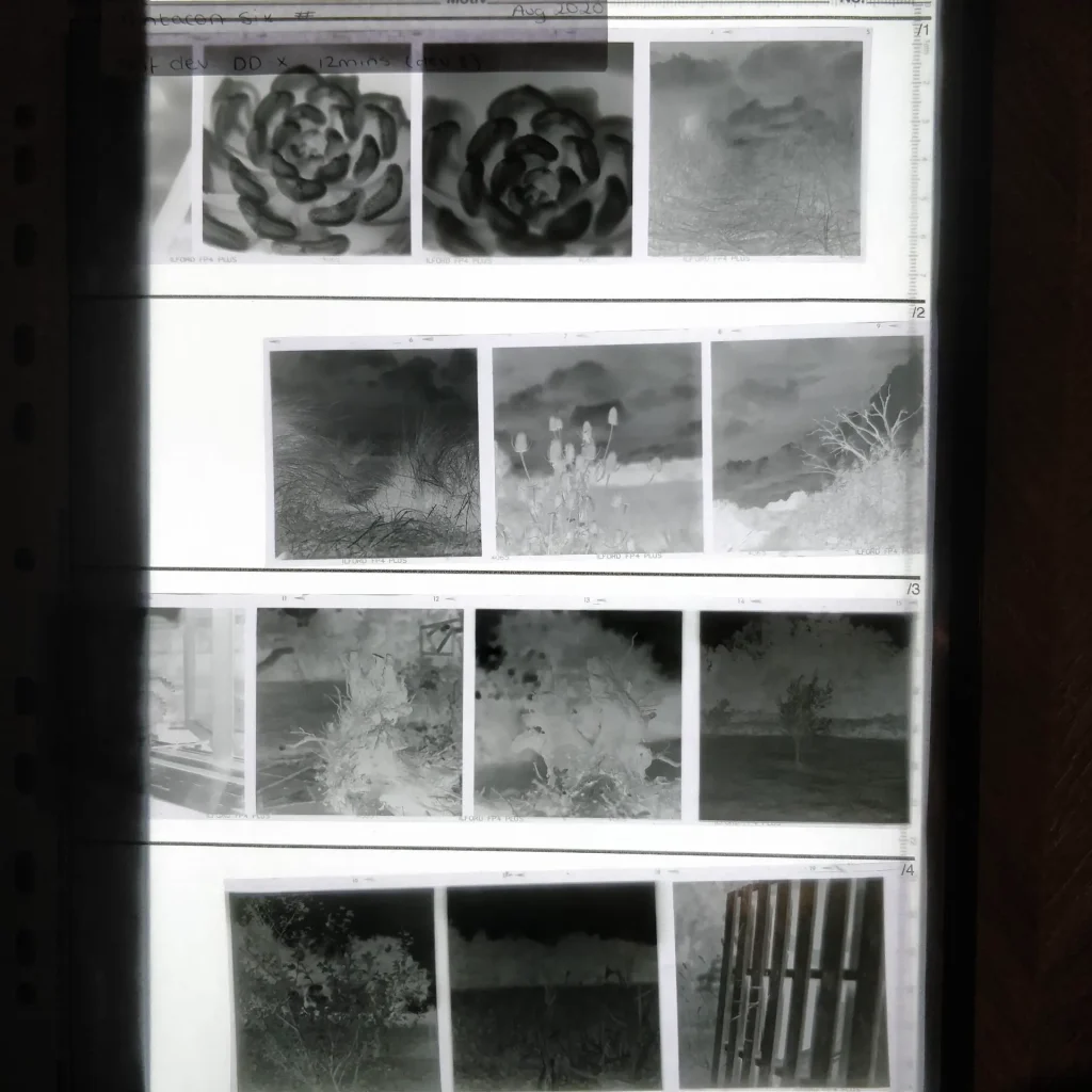 FP4 negatives