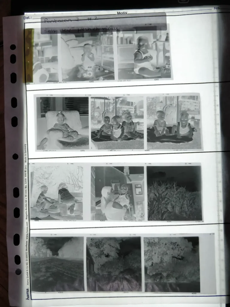 HP5 negatives