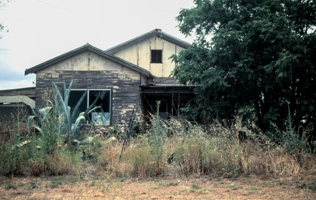 An abandoned weatherboard house with dry overgrown vegetation 