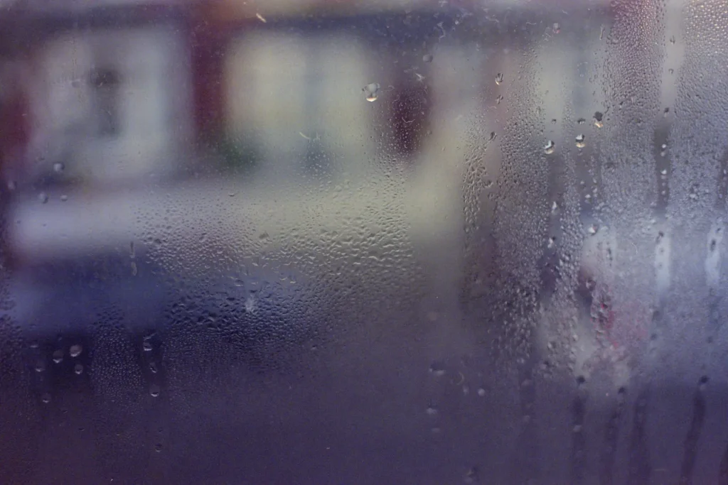 condensation on a window