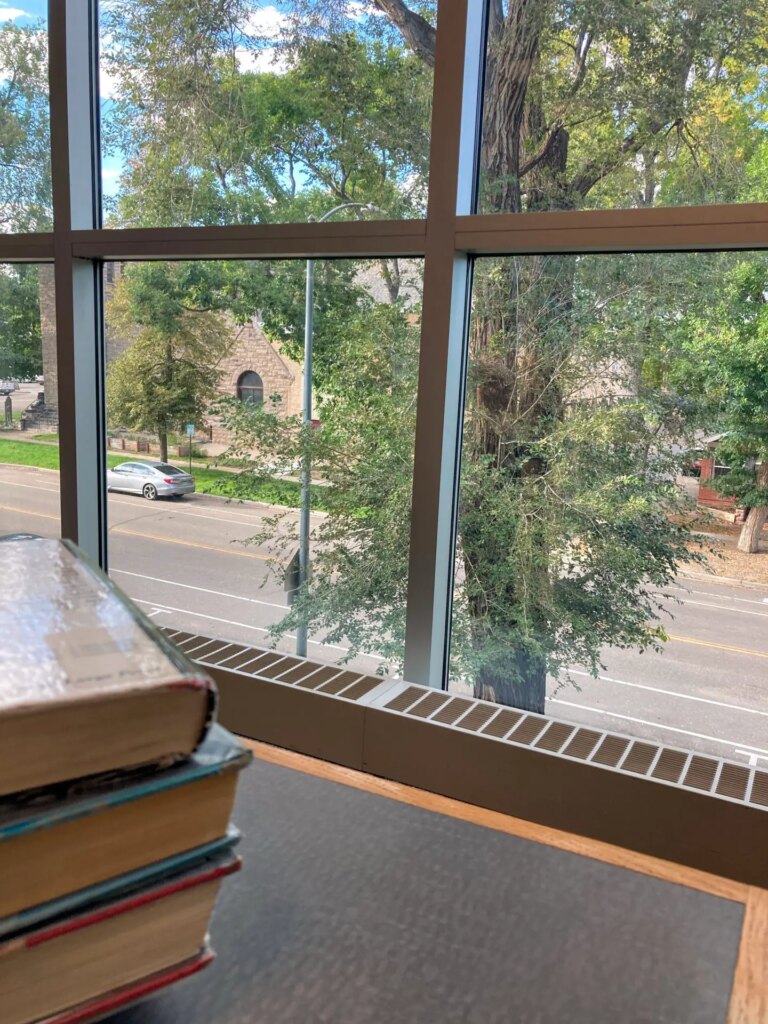 large window with trees and street visible, books and table in foreground