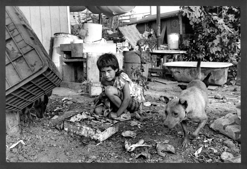 Back Cover; Child Playing with Animals Surrounded by Trash and Discarded Objects