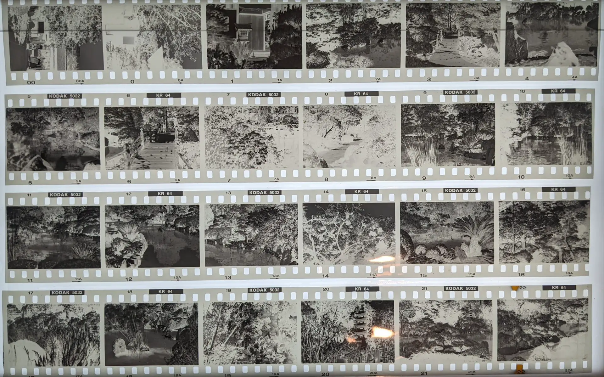Kodachrome 64 contact sheet