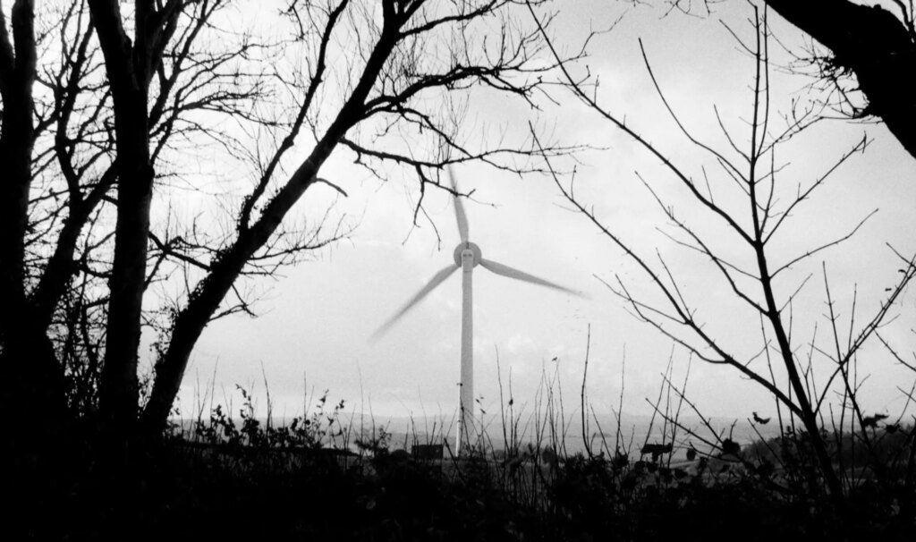 Wind Turbine framed by trees and vegetation