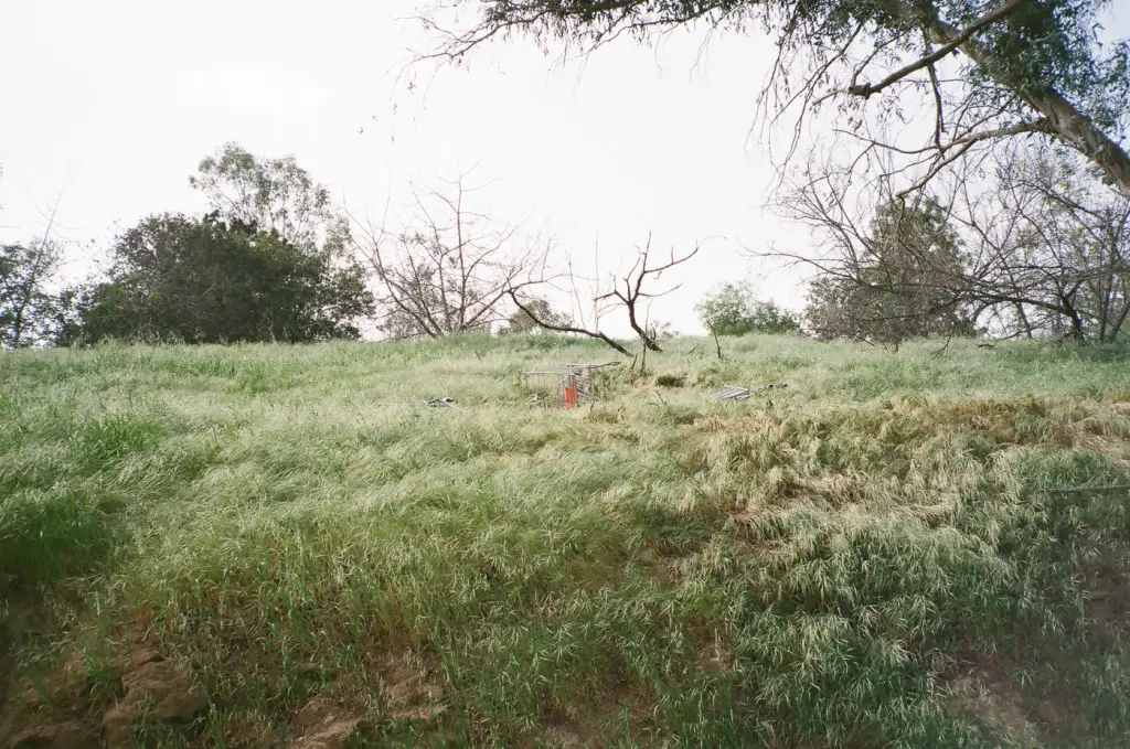 "Cart Grave", 2015 by Kwasi Boyd-Bouldin