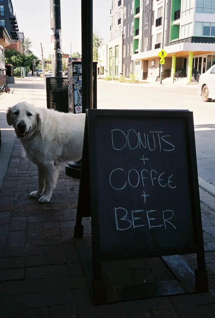 Dogs, Donuts, Coffee, and Beer