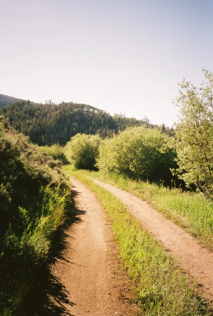 Jeep trail