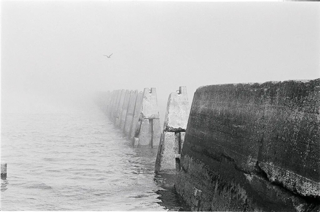 A bird flies over the Cramond Causeway, Scotland. August 2021