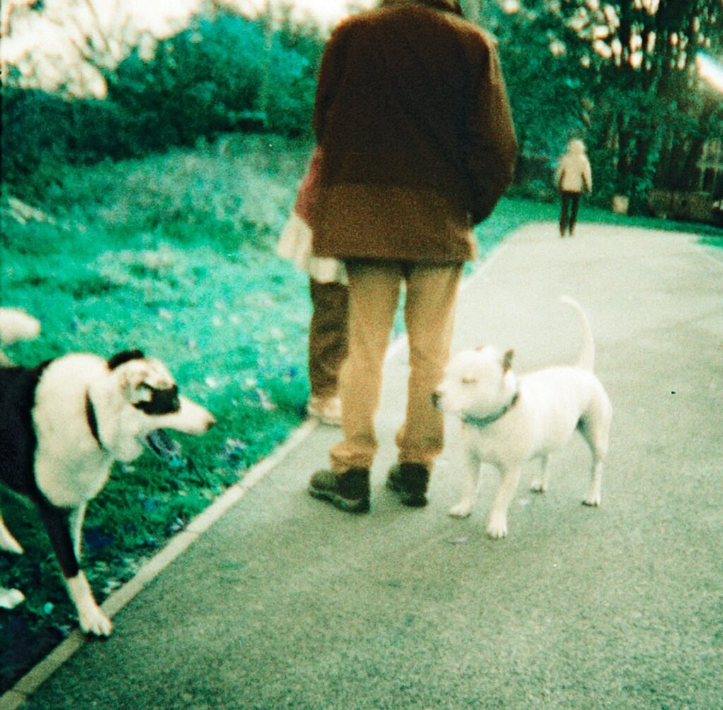 Playtime! Shot on the Diana Mini