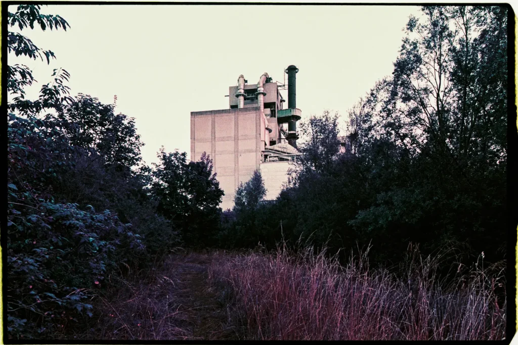 factory building looming in the distance from dark bushes and trees