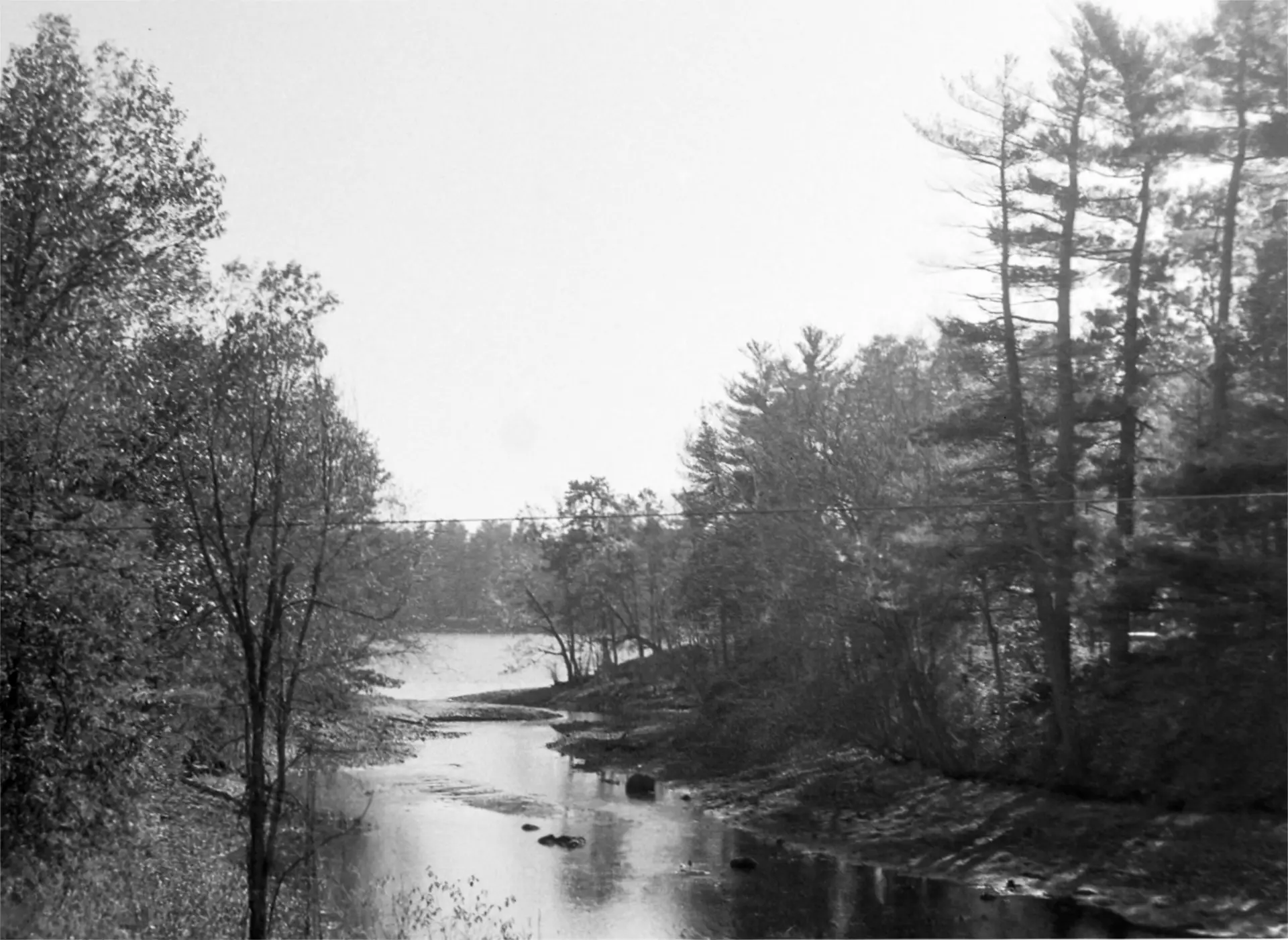 Yashica Lynx-14 photo of river