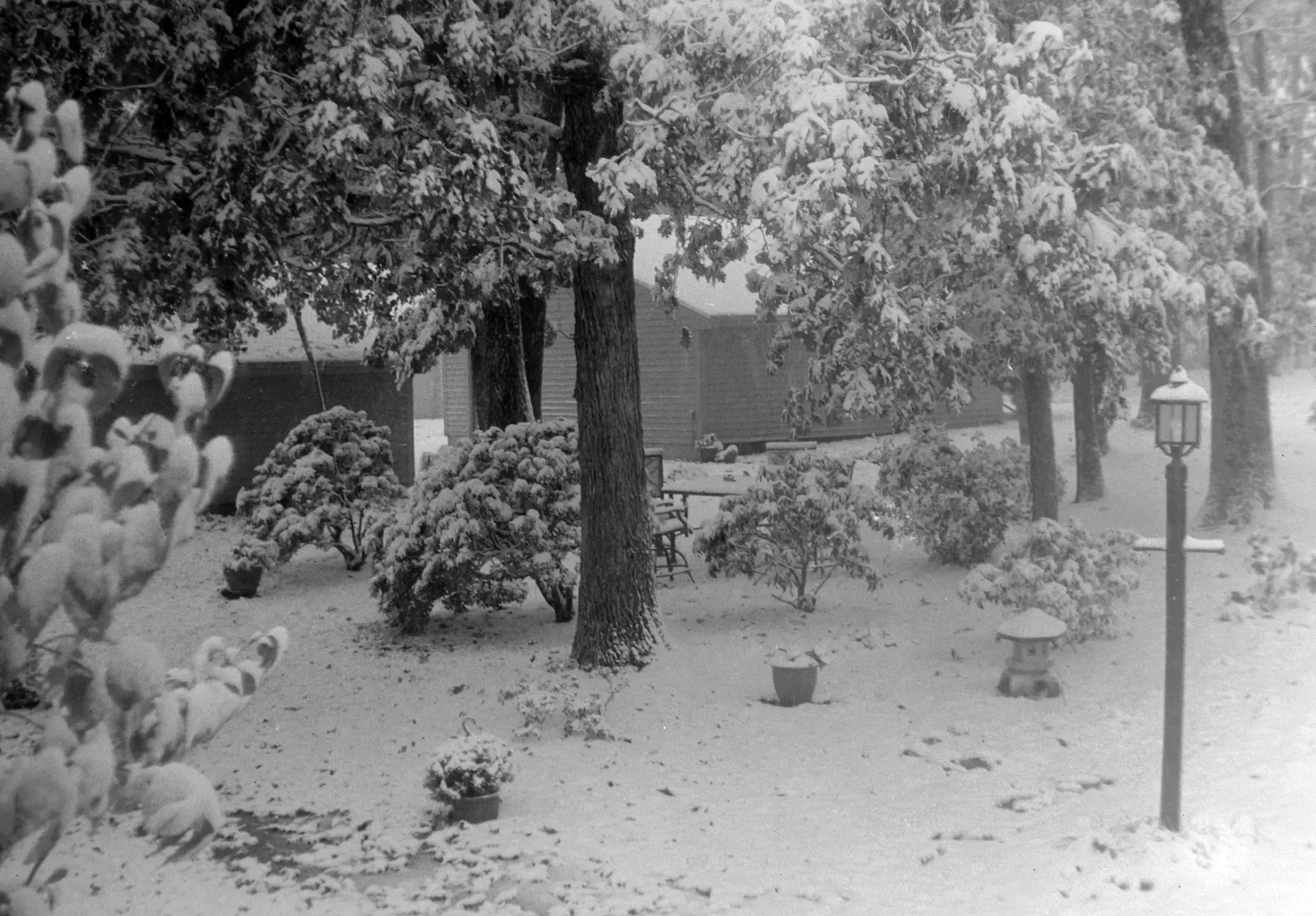 Yashica Lynx-14 photo of condo front yard in snow