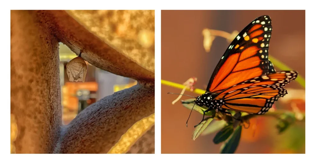 Maureen Bond Diptych