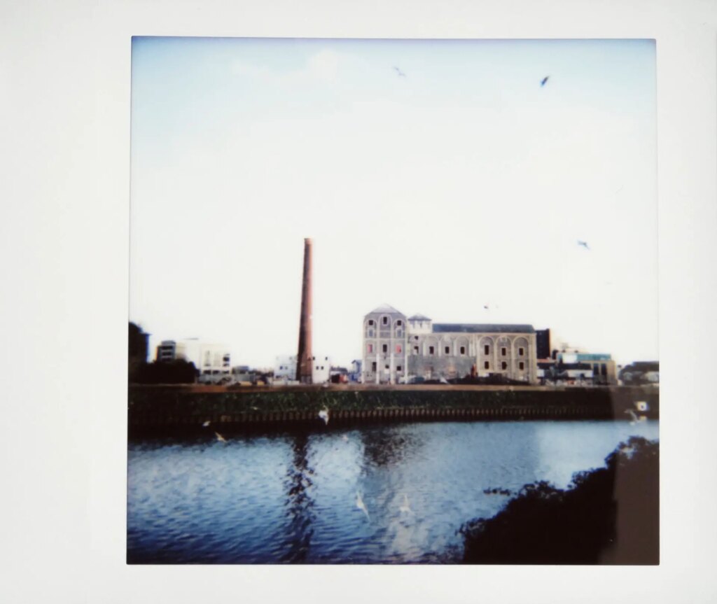 brains brewery on instax square film