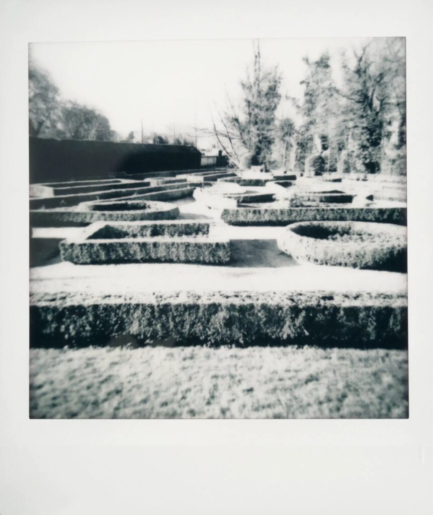 garden on black and white instax square film