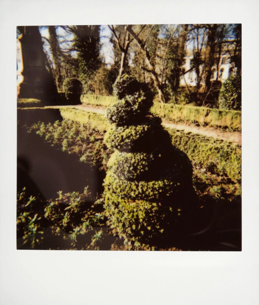 garden on instax colour film