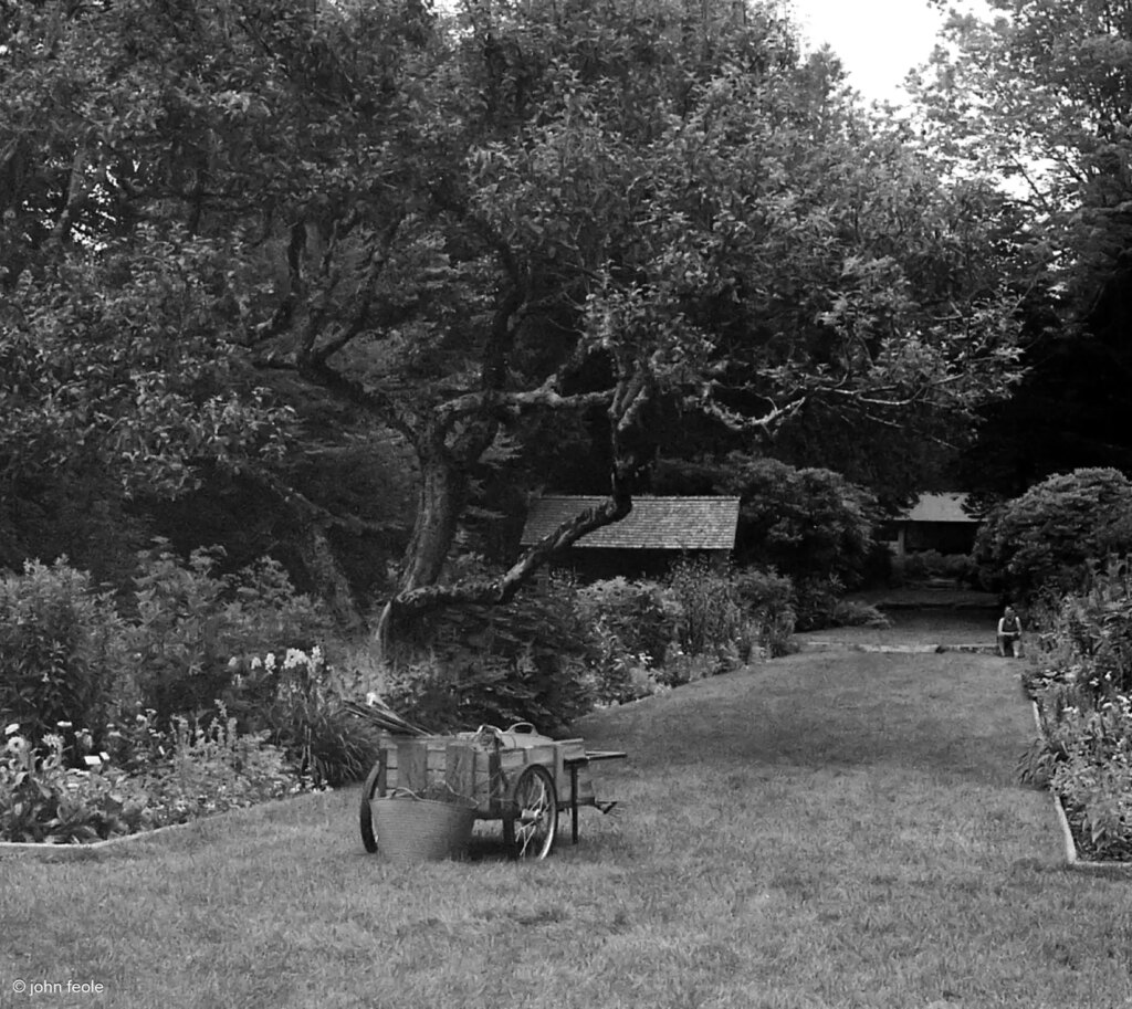 Thuya Gardens, Northeast Harbor, Mount Desert Island, MaineNikon FM2 with Micro-Nikkor 55mm 1:2.8 on Ilford Delta 400 developed in Kodak HC110 