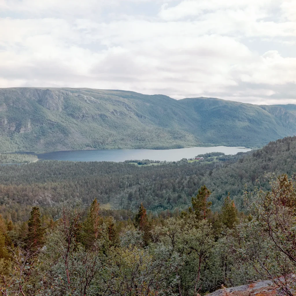 A view of Mattisvannet