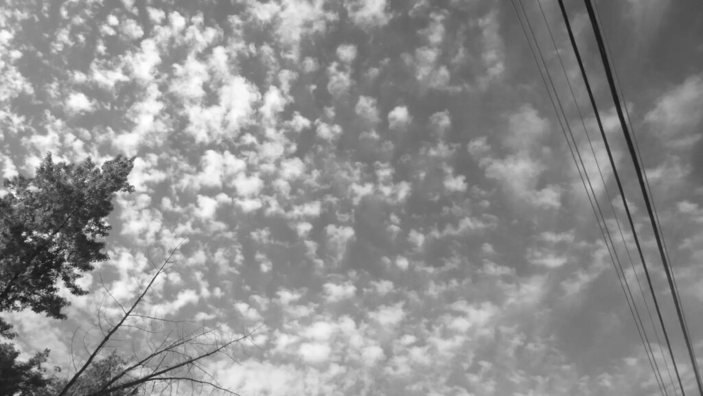 black and white small clouds covering sky with tree tops and wires on edges of frame