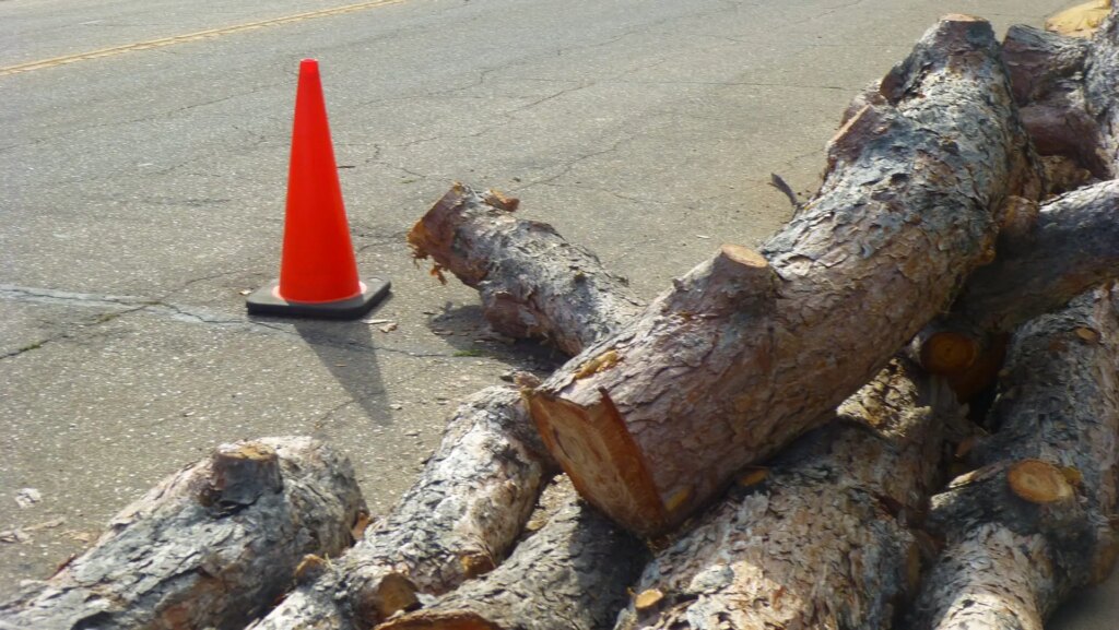 an orange traffic cone to the left of pile of logs in street