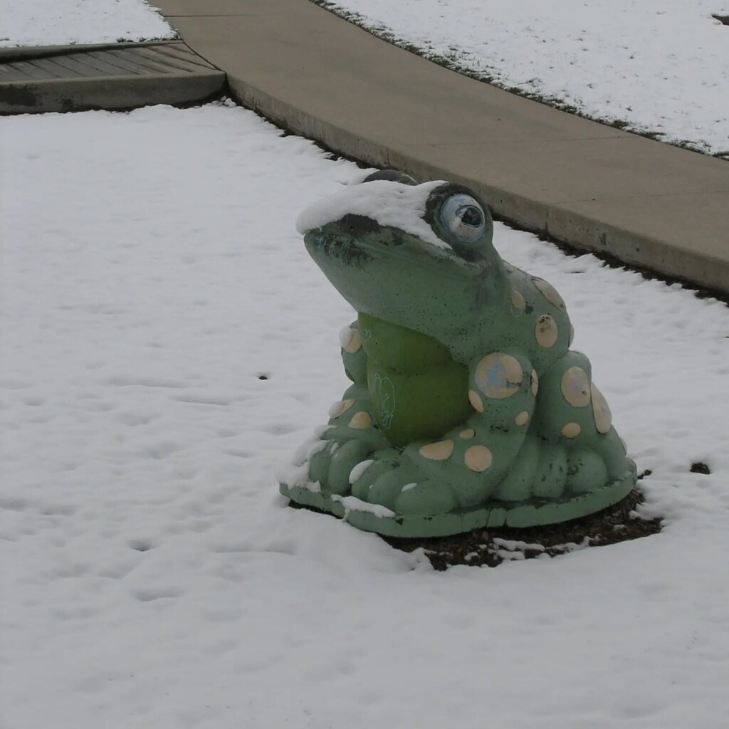 a playground frog on snowy ground