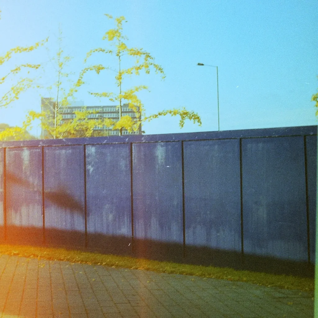 tree and building behind hoarding