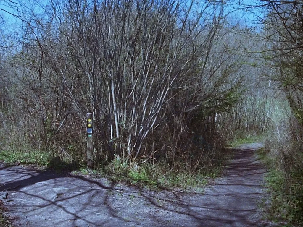 photo of a footpath trail post