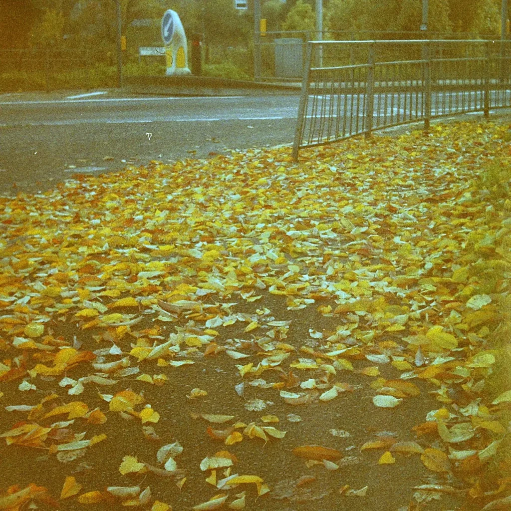 yellowing leaves on path