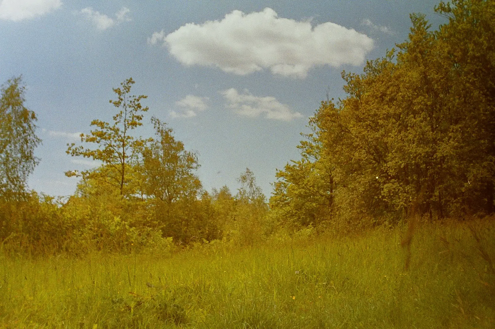 colour photo of a countryside scene