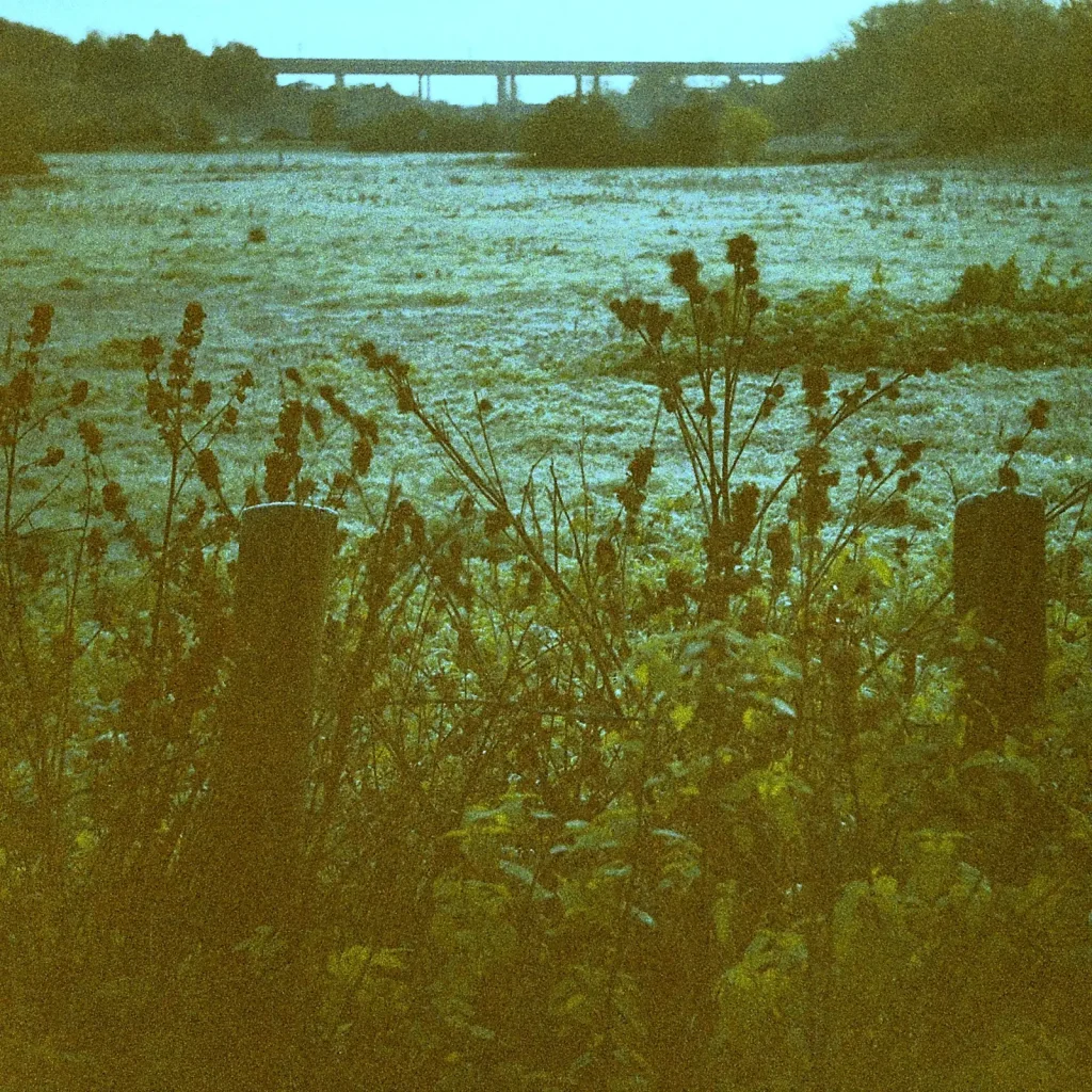 frosty field with bridge in the distance