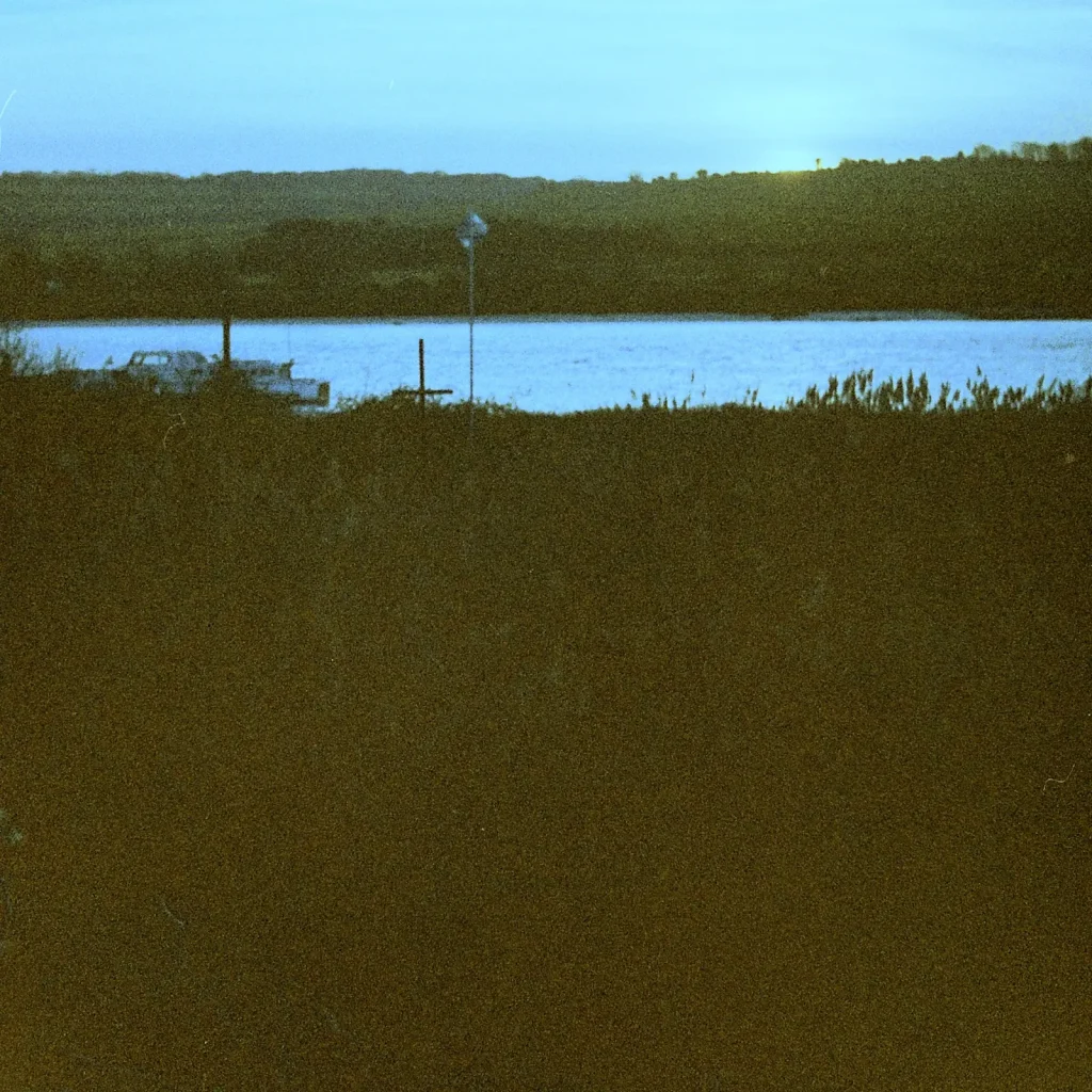 boat marina with reeds in foreground