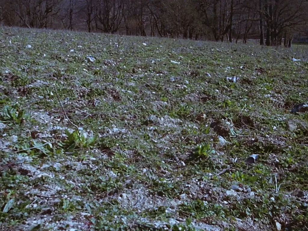 close up view of flint and chalk field