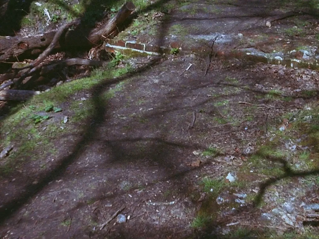 photograph of buildings foundations showing through the ground