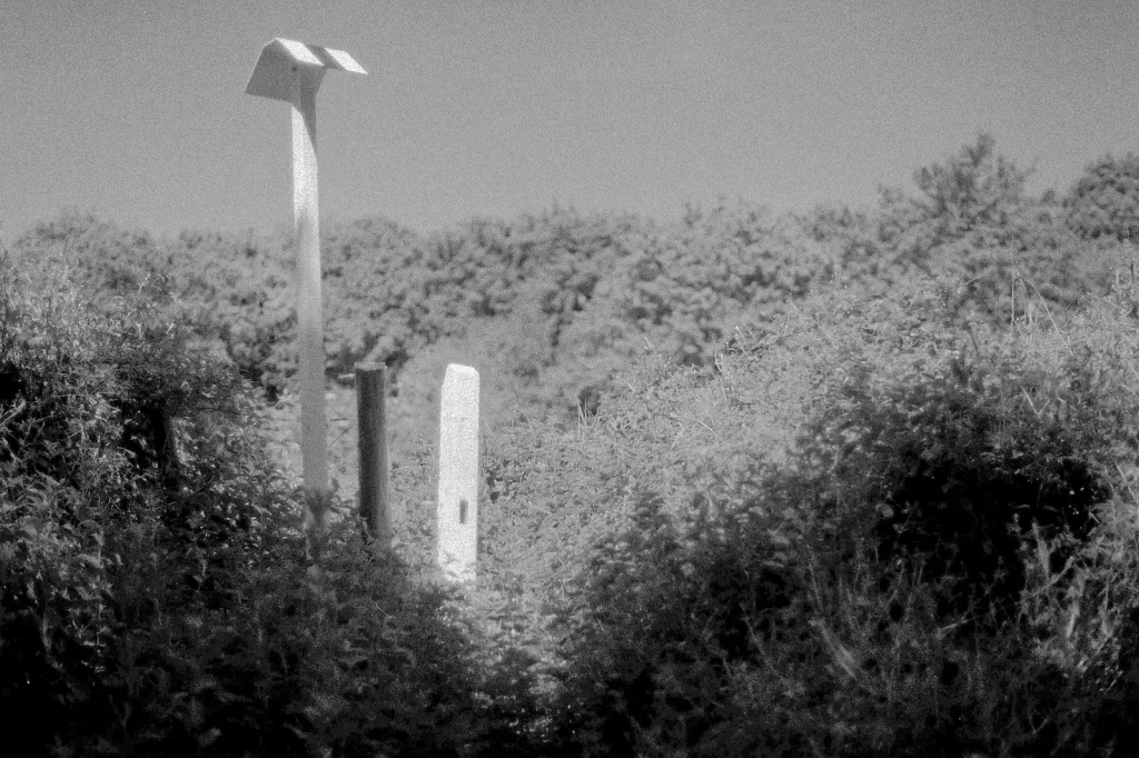 black and white photo of direction post