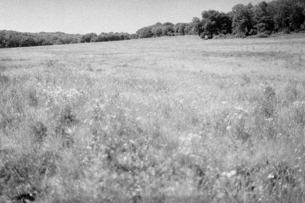 black and white photo of countryside field